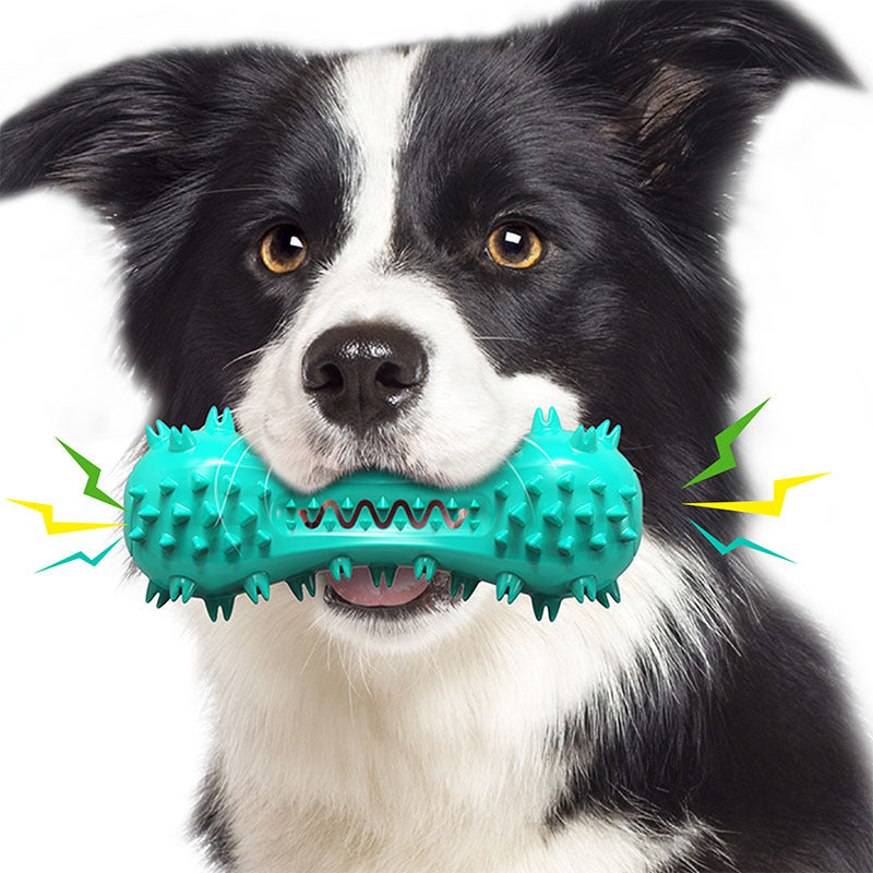Dog Corn Squeaky Toy & Toothbrush Set