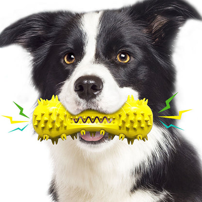 Dog Corn Squeaky Toy & Toothbrush Set